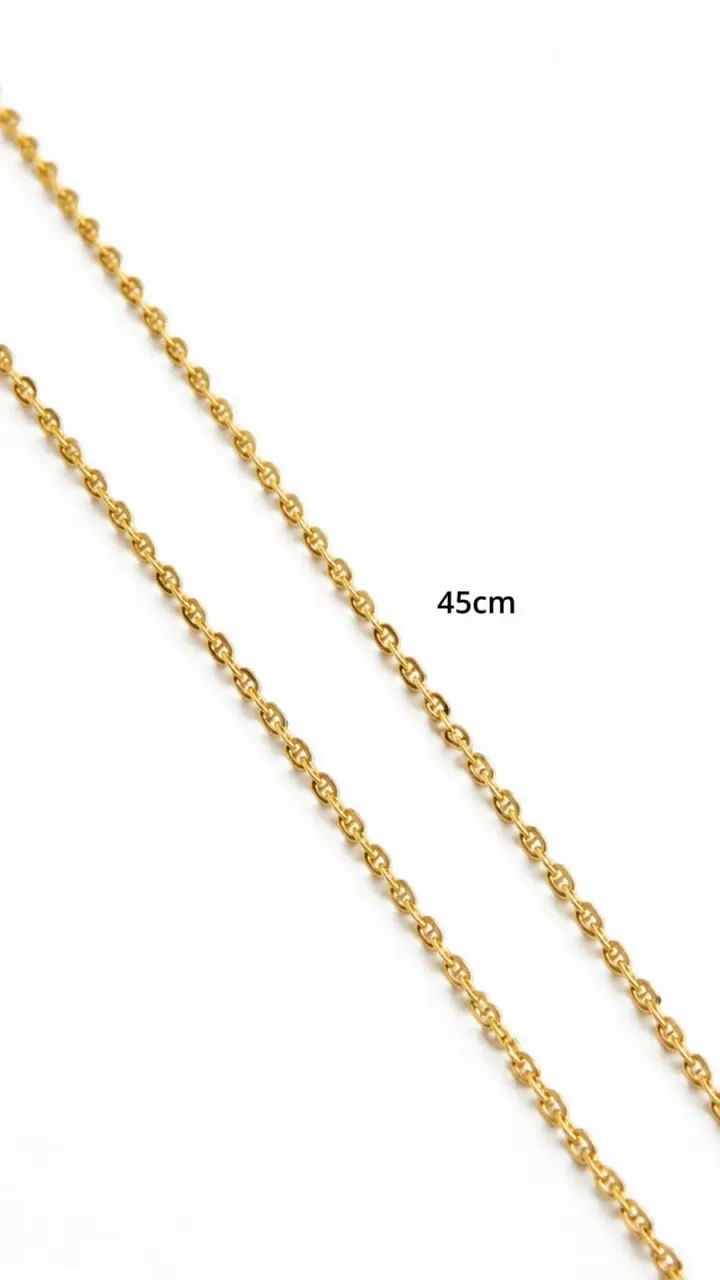 Cadena GC Plana Delgada 45 cm