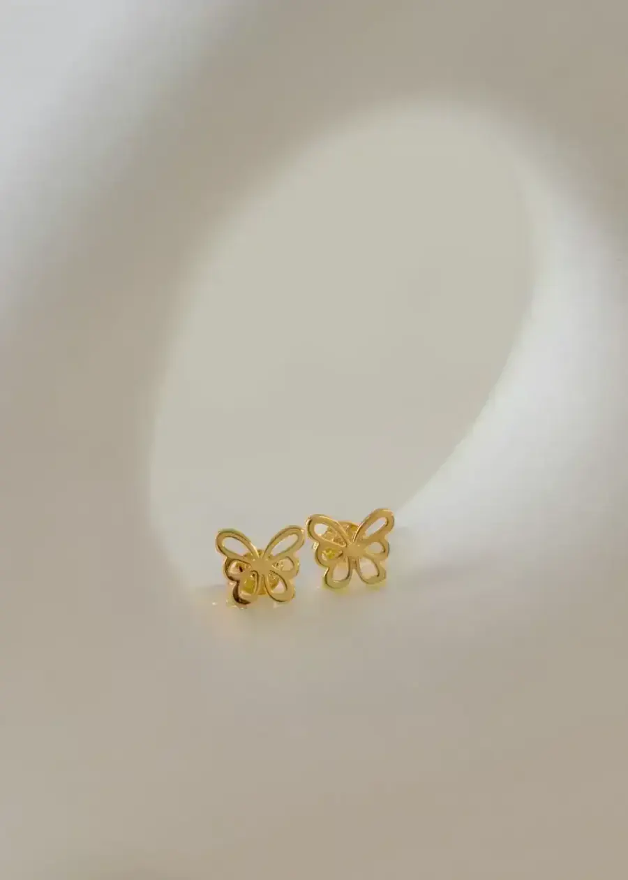 Topos Butterfly