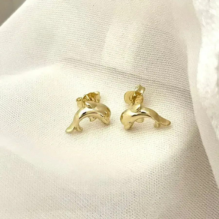 Topos Dolphin