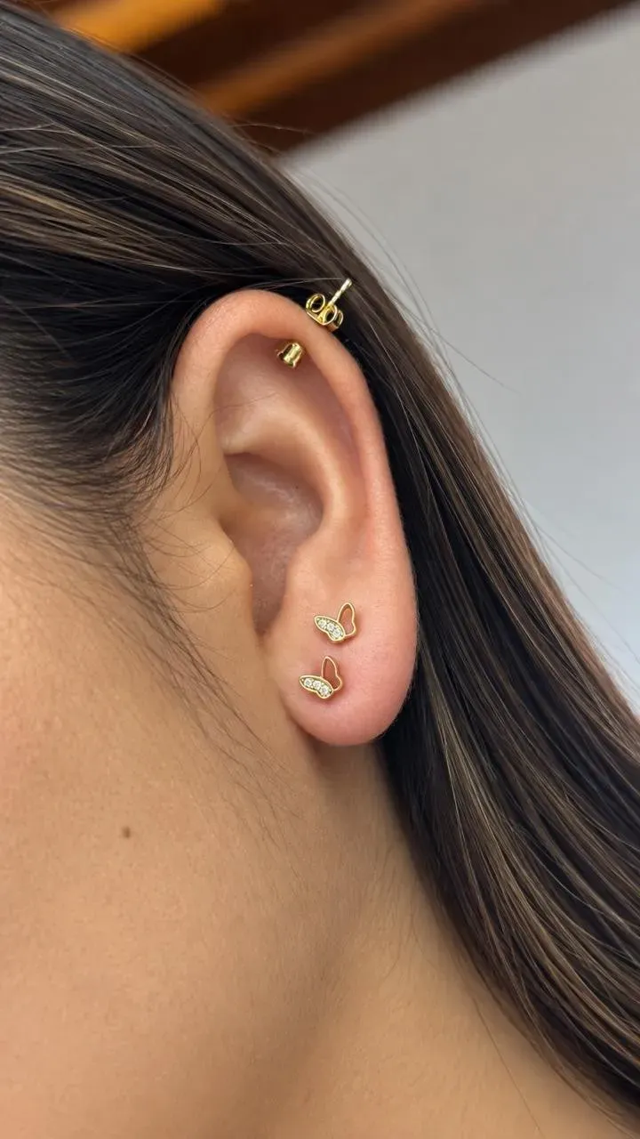 Topos Mariposa Circonia — foto 2